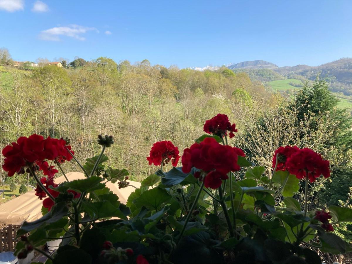 Casa Elena Cangas De Onis Con Wifi Y Parking Gratuito Екстериор снимка