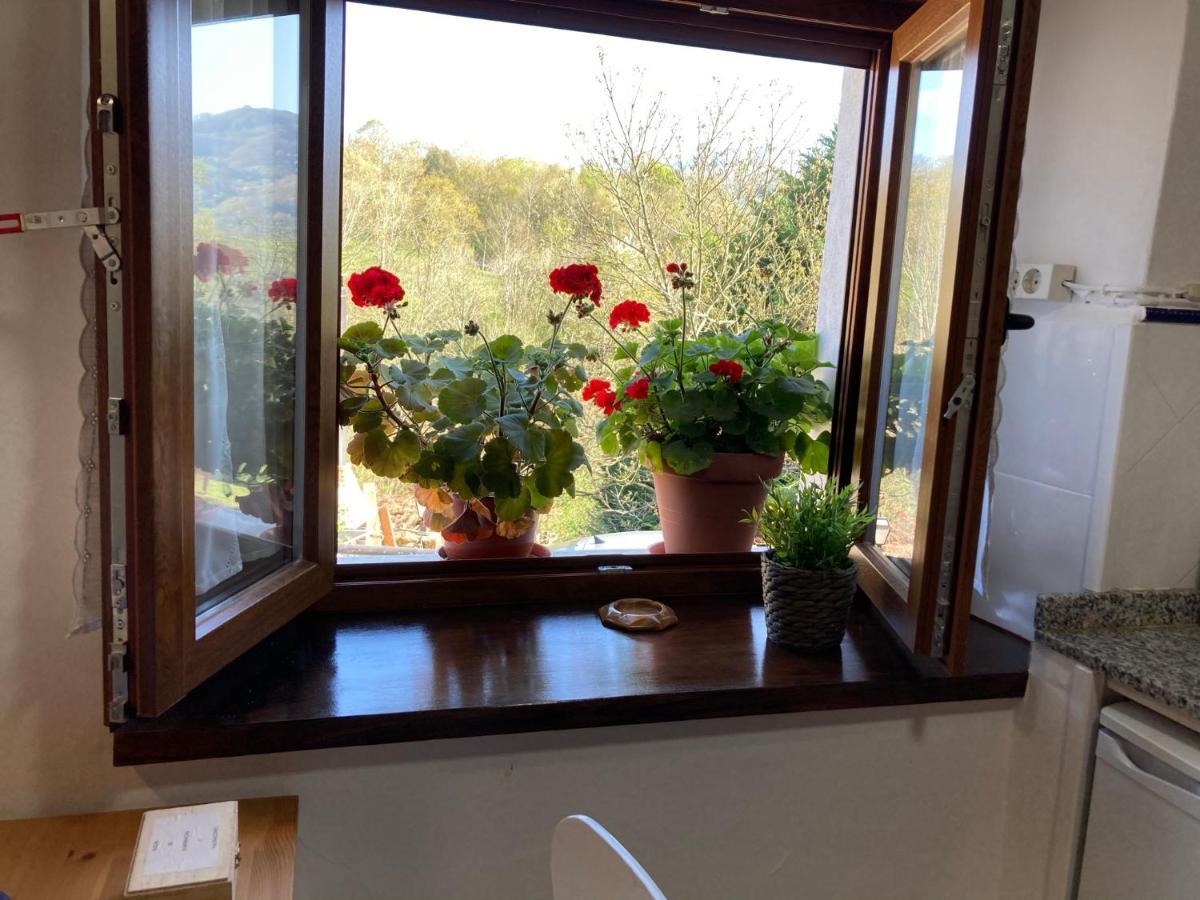 Casa Elena Cangas De Onis Con Wifi Y Parking Gratuito Екстериор снимка